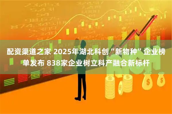 配资渠道之家 2025年湖北科创“新物种”企业榜单发布 838家企业树立科产融合新标杆